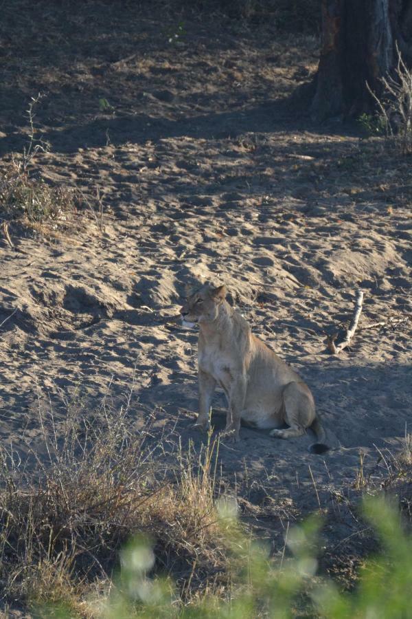 Mzsingitana Tented Camp Гудспрейт Екстер'єр фото