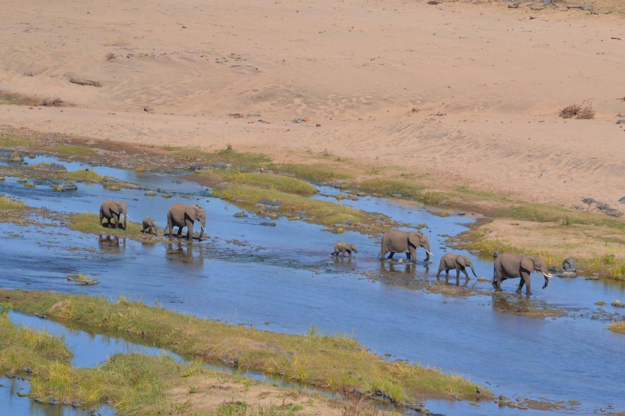 Mzsingitana Tented Camp Гудспрейт Екстер'єр фото